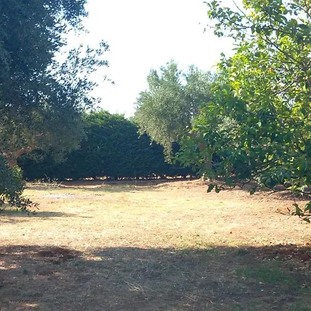 Sonia Apartment Analipsis (Messinia)