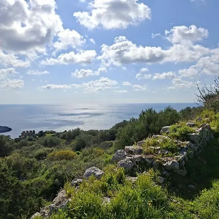Sonia * Analipsis (Messinia)