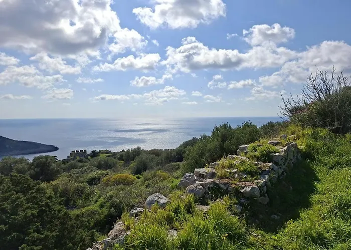 Sonia * Analipsis (Messinia)